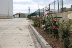 KosiKop_336_agaclandirma-cevre